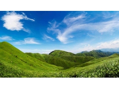 风光 - 高山草甸