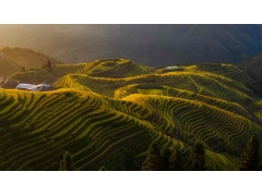 风光 - 龙胜梯田